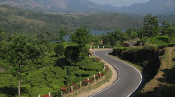 Kerala - La route des épices
