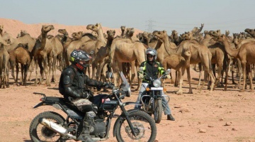 Rajasthan - Fuertes, palacios y colores