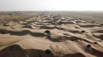 Inde et Népal - Le Rajasthan et le Mustang en off-road 22